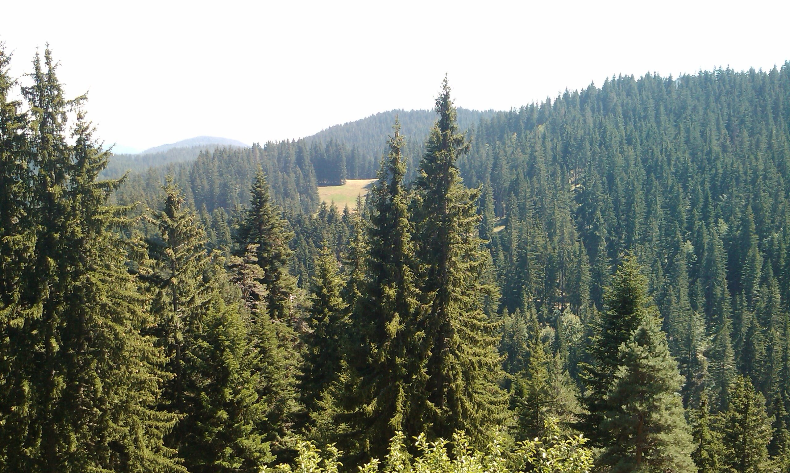 IMAG0102[1]