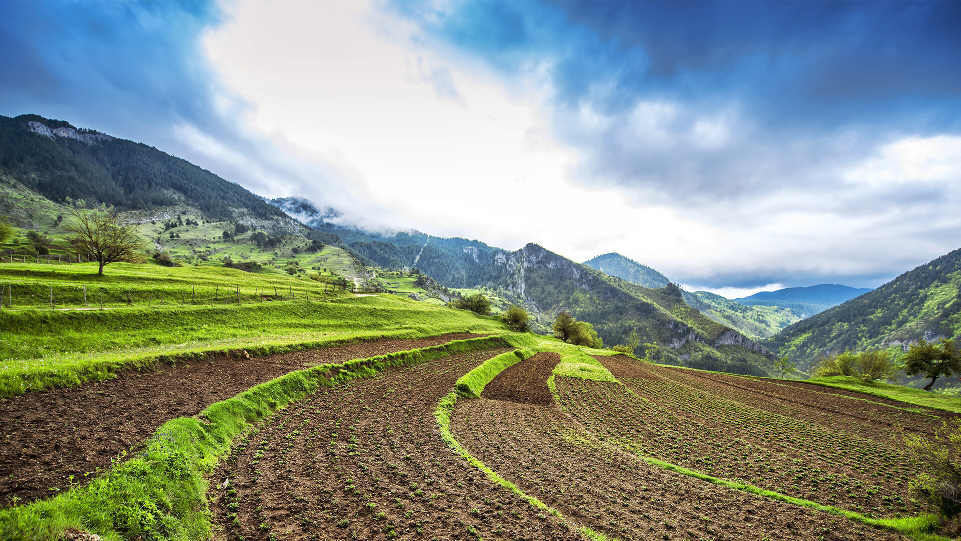 header_rhodopes-1920x1080