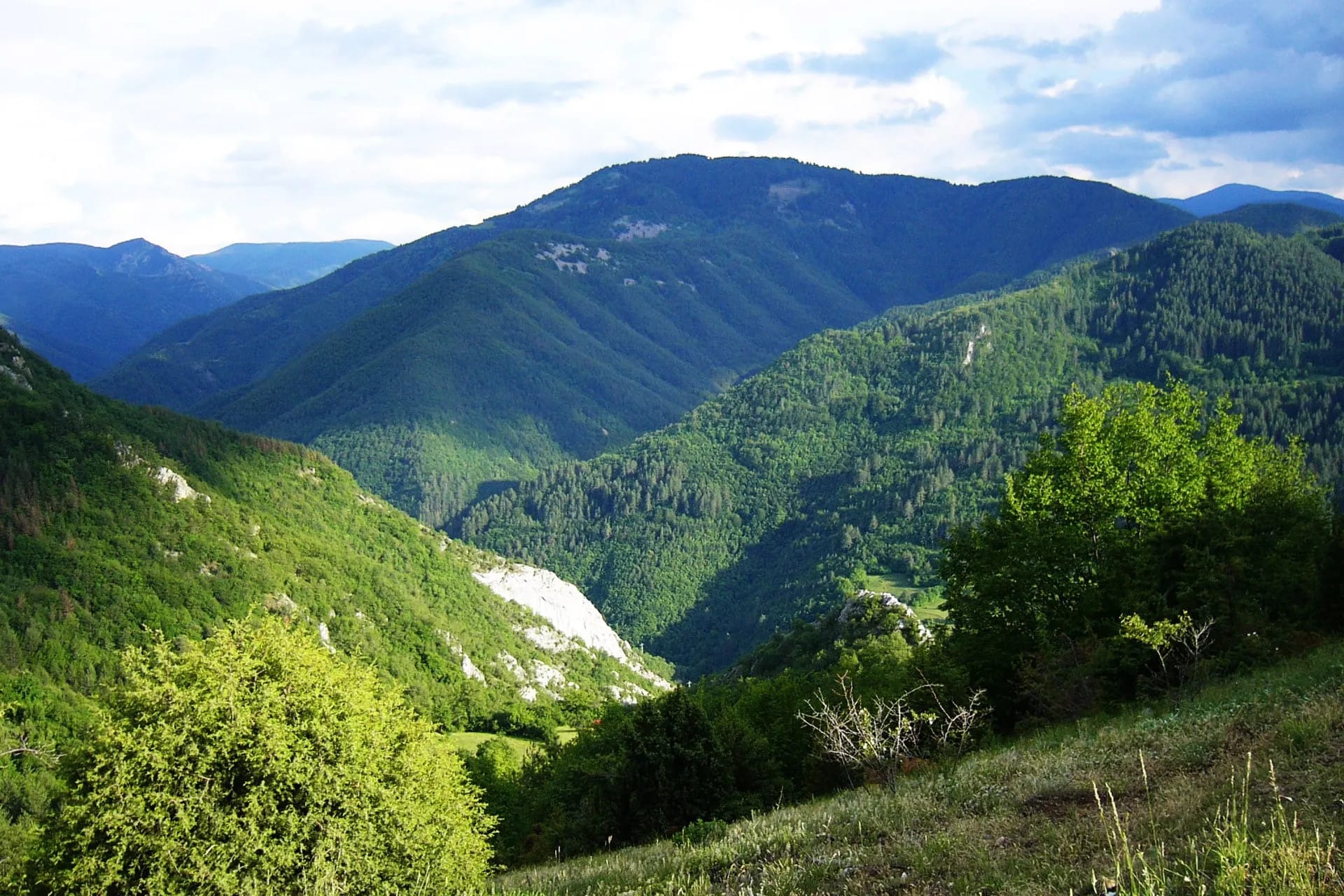 rodopite-header-min